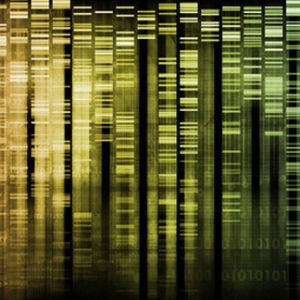 Integrating Clinical Genomics Data into Standard Medical Practice