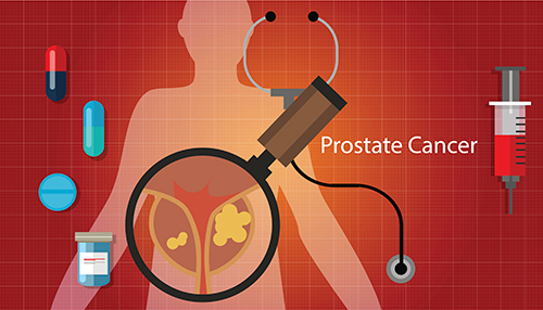 prostate cancer health medical  illustration medication cure