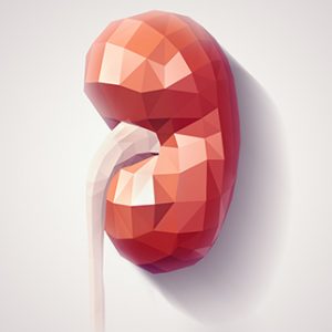 Predictive Biomarkers for Kidney Transplant Rejection