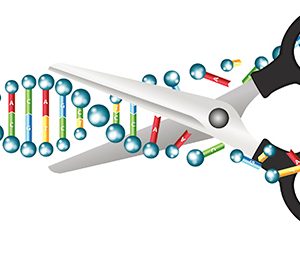 Pursuing CRISPR Vision on Germline Editing