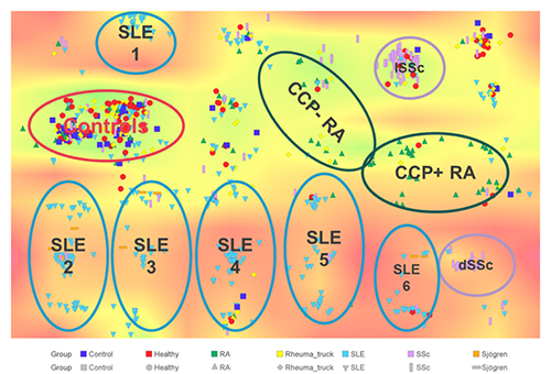 This Korhonen map shows how novel proprietary biomarkers enable differentiation of autoimmune diseases. Identification of patient subsets provides specific targets for therapeutic development and CDx; this increases the probability of successful approvals of novel drugs and therapies.