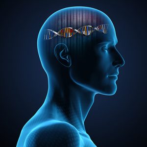 Numerous DNA Regions Found for Depression from Crowd-Sourced Genetic Data
