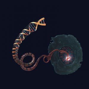 The Future of Cancer Genomics