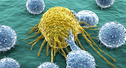 Cancer cell and Lymphocytes