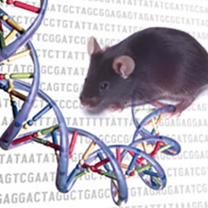 Essential Mouse Genes Are Related to Many Human Disease Genes