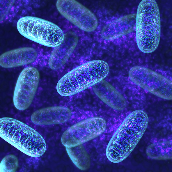 More Evidence of Autism’s Link to Mitochondrial DNA Mutations