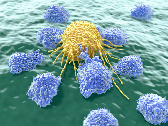 Lymphocytes attacking cancer cell