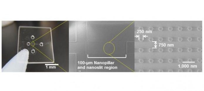 Quartz-made Nanopillars of 250-nm diameter were arrayed inside nanoslit region of 100-nm high and applied for ultrafast microRNA extraction from nucleic acids mixture. [Noritada Kaji]