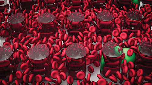 Red blood cells (red) and circulating tumor cells (green) traveling through a microfluidic cell-sorting device as simulated by udevicex. [Yu-Hang Tang