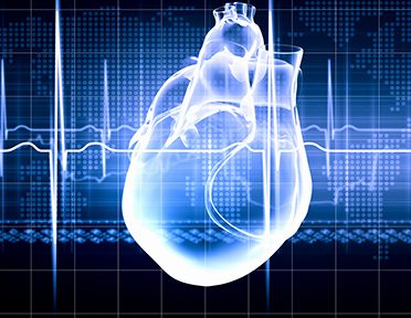 Transparent blue image of human heart with monitored beat to show that electrocardiogram results can predict diabetes