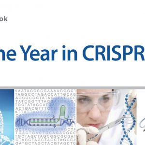 The Year in CRISPRs