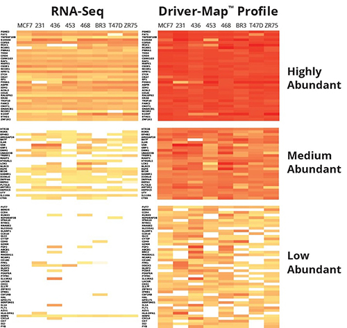 Targeted RNA Expression Profiling Assay