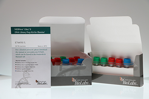 DNA Library Prep Kit for Next-Gen Sequencing