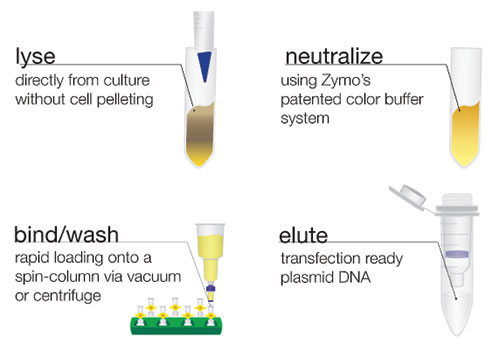 Plasmid Purification Kits