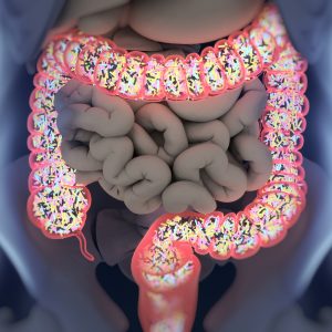 Researchers ID Metabolite that Plays Key Role in Regulating Intestinal Bacteria
