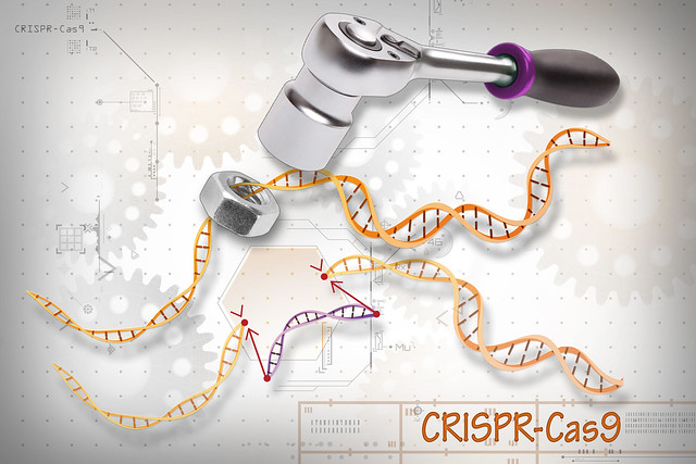 Going Deeper into Long Reads: Oxford Nanopore Licenses CRISPR-Cas9 IP from Caribou