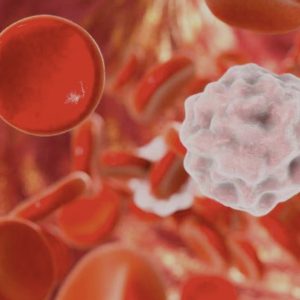 Betting on Blood: Liquid Biopsy Companies Pursuing both Early- and Late-Stage Cancer Detection