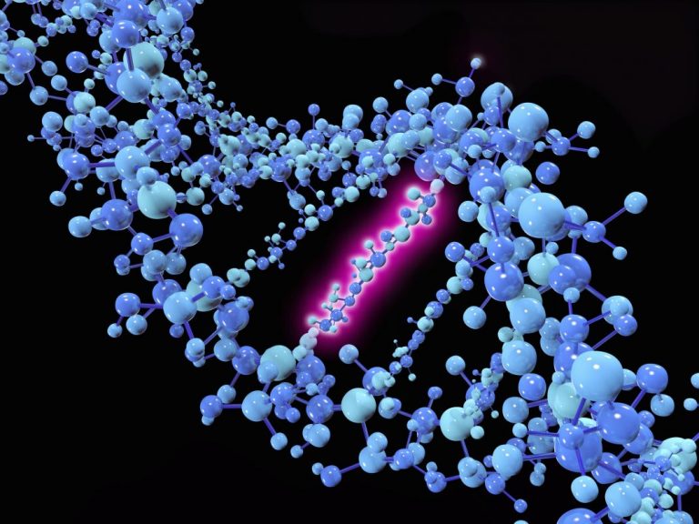 Scientists Publish the Complete Human Genome