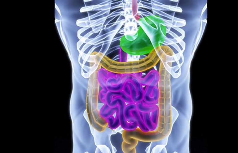 Study Shows Natera Test Faster than Imaging in Detecting Colorectal Cancer Recurrence
