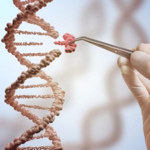 Patent Battle Rekindled as Interference Declared over CRISPR-Cas9 for Eukaryotic Cells