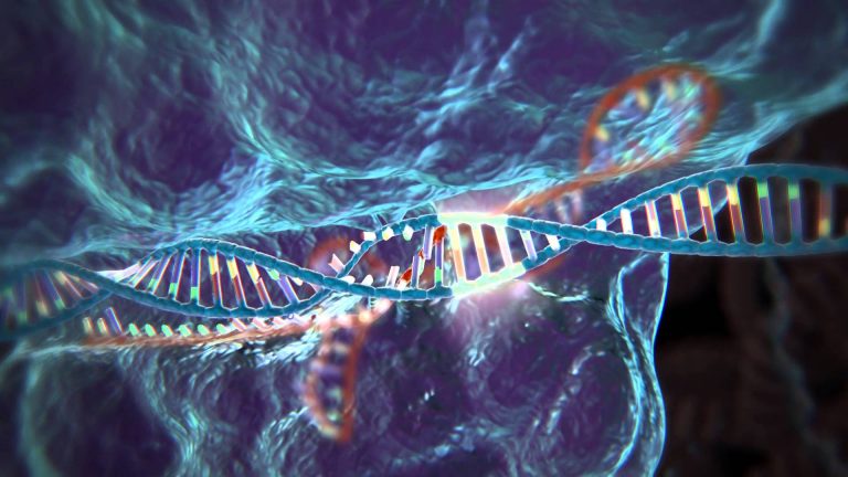 Broad Team Develop CRISPR-Cas13 Combination Diagnostic-Antiviral