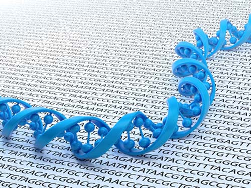 Genomic Data From 200,000 UK Biobank Participants Available to Researchers