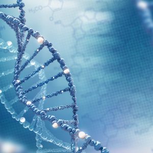 NHGRI Funds Two Centers as Part of Human Genome Reference Program
