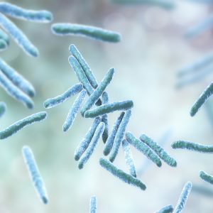 New Drug Candidate Discovered for Drug Resistant Tuberculosis
