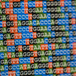 Color, Verily to Return Actionable Genetic Data to Project Baseline Participants