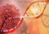 Podcast Series: Comprehensive Genomic Profiling Cancer and DNA