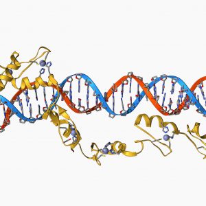 Study Highlights Potential Gene Expression Data Analysis Bias