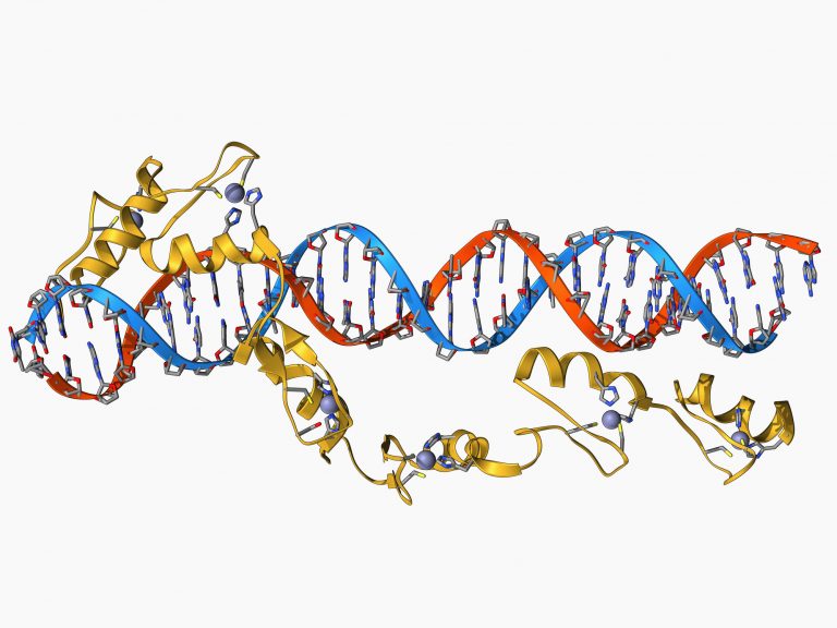 Study Highlights Potential Gene Expression Data Analysis Bias