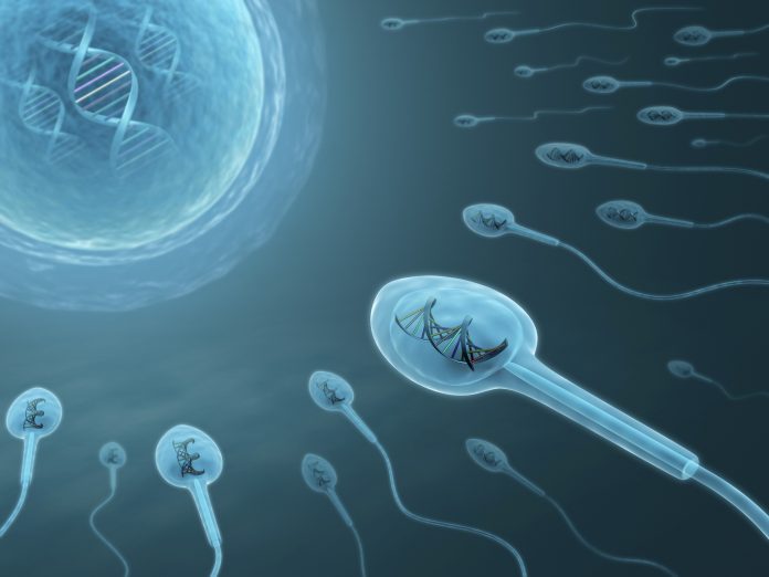 Human sperm with dna, artwork