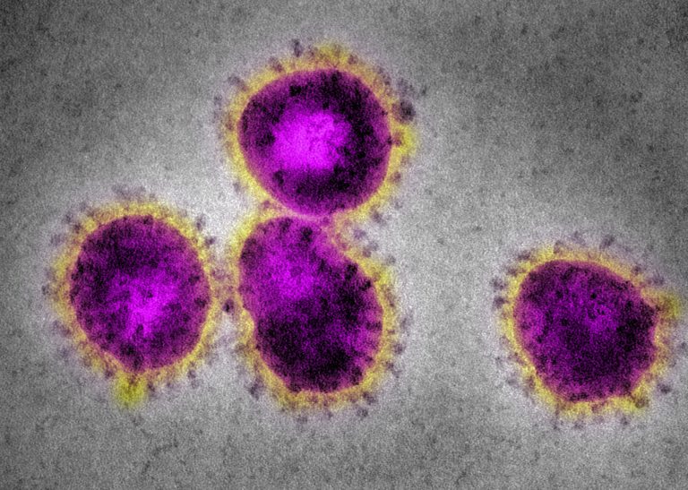Co-Diagnostics Seeks CE Mark for its COVID-19 Coronavirus Test