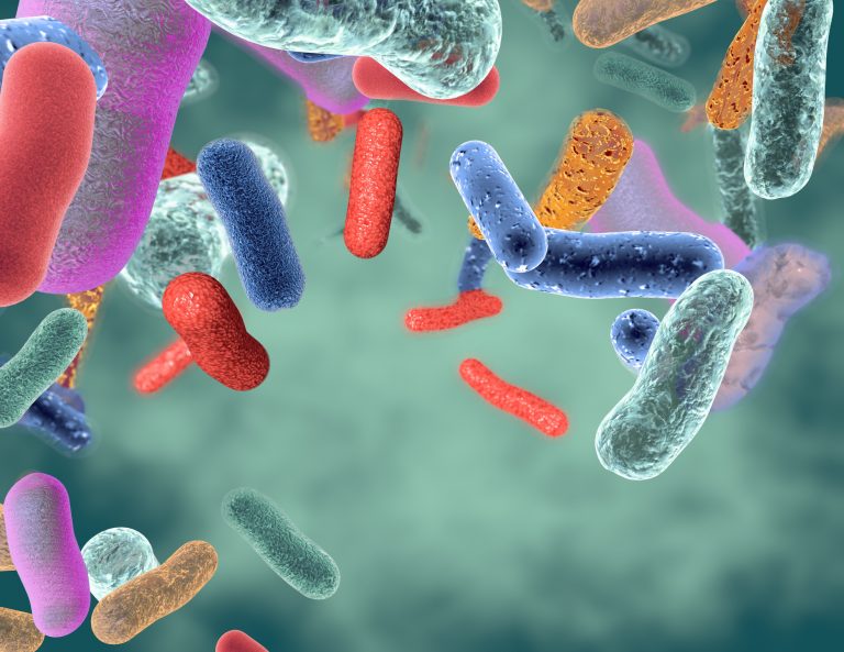 First Therapeutically Engineered Gut Bacteria Enters Clinical Trials
