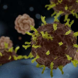 Scientists Uncover Protein that Inhibits Coronaviruses