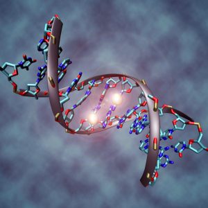 Epigenetic Factors Predicting More Severe COVID-19 Revealed