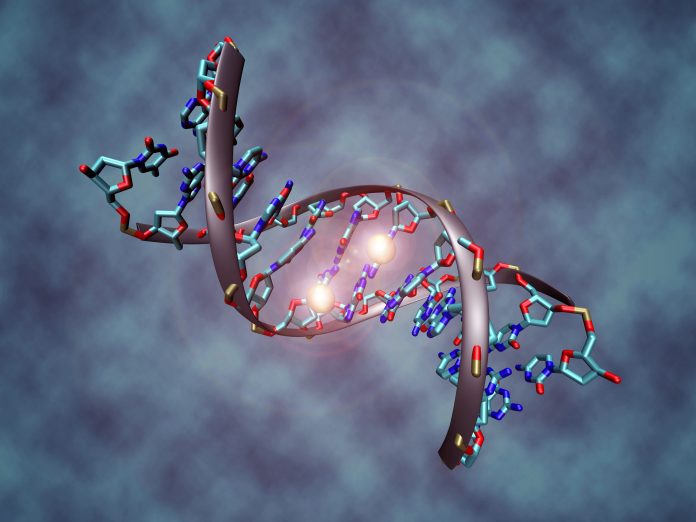 DNA Methylation, epigenetics