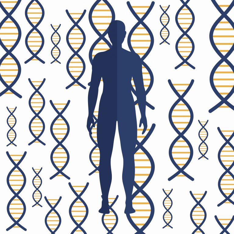 Software Tool Helps Make Genome Wide Association Studies More Diverse