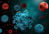 Inhalable Exosomes Deliver IL-12 Lung Cancer Treatments