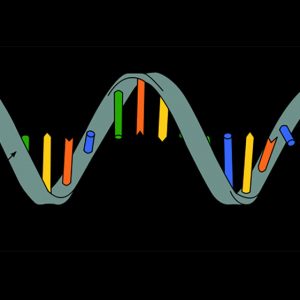 Tool Provides Insights into When RNA-Sequencing is Most Relevant