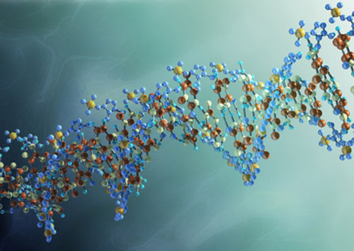 Biodesix, Bio-Rad Pursue FDA EUA Approval for ddPCR-Based COVID-19 Test