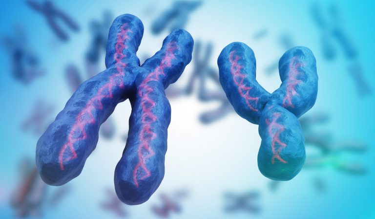 Y Chromosome-Linked Gene Implicated in Autism’s Gender Bias