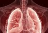 Airborne Ultrasound Imaging Could Help Detect Lung Disease
