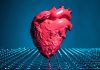 AI Shows Potential for Aortic Stenosis Screening