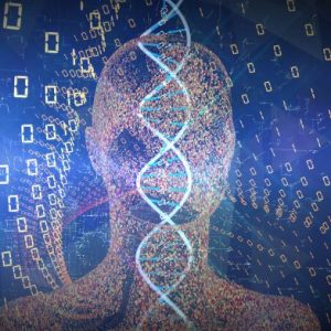 Harvard Medical School Forms New International Genome Imaging Center
