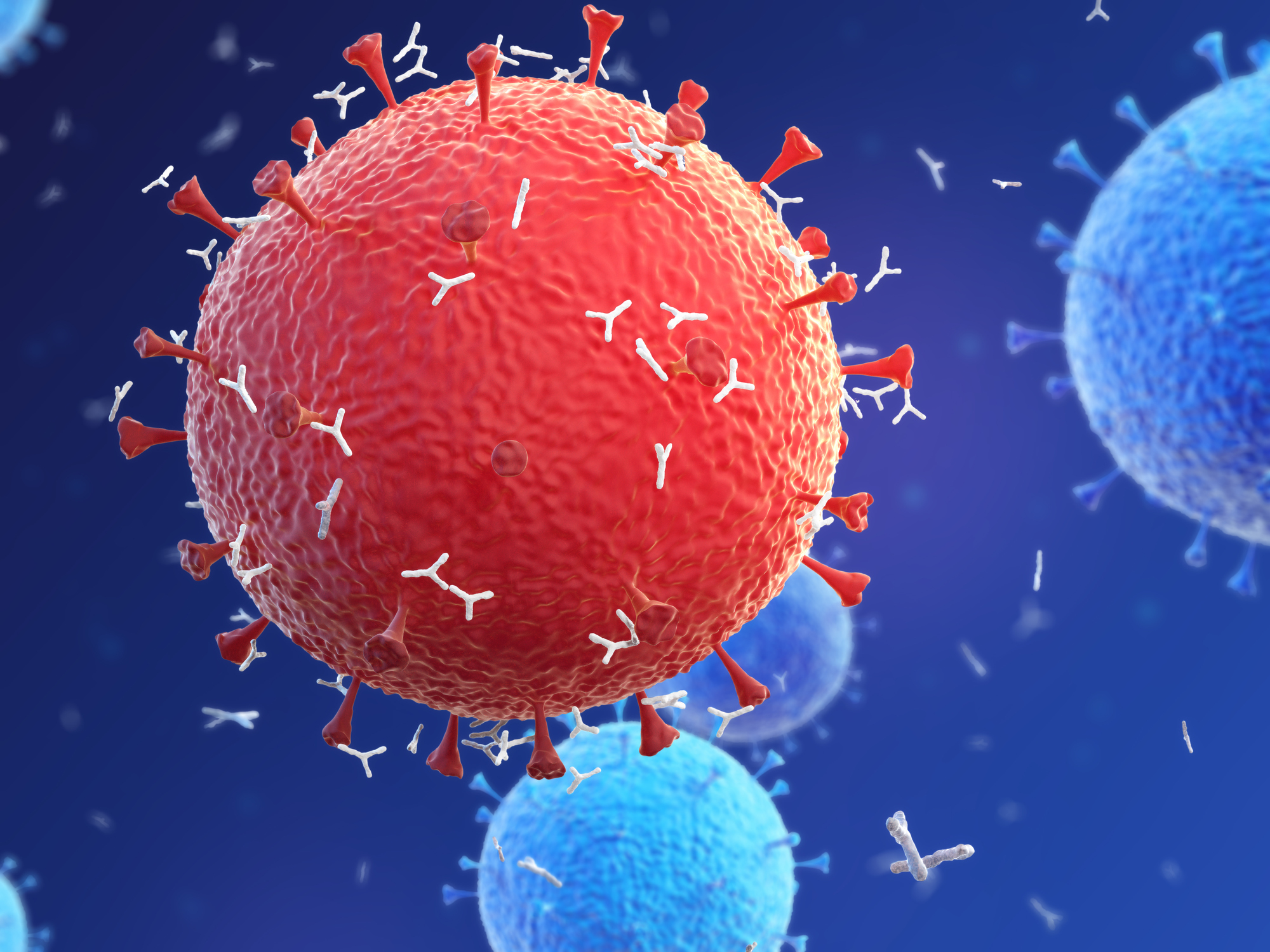 Атакующие клетки. Антиген антитело. Антиген фото. Клетка вируса.