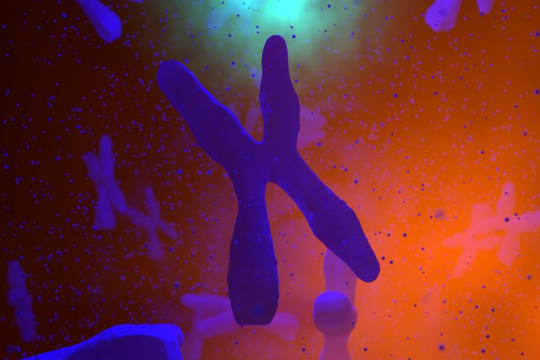 3D Rendered Illustration, scientific visualisation of a Chromosome