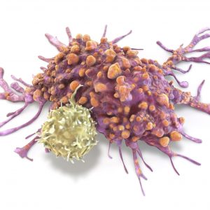 Protein Discovered That Aids Tumors to Evade Immune System