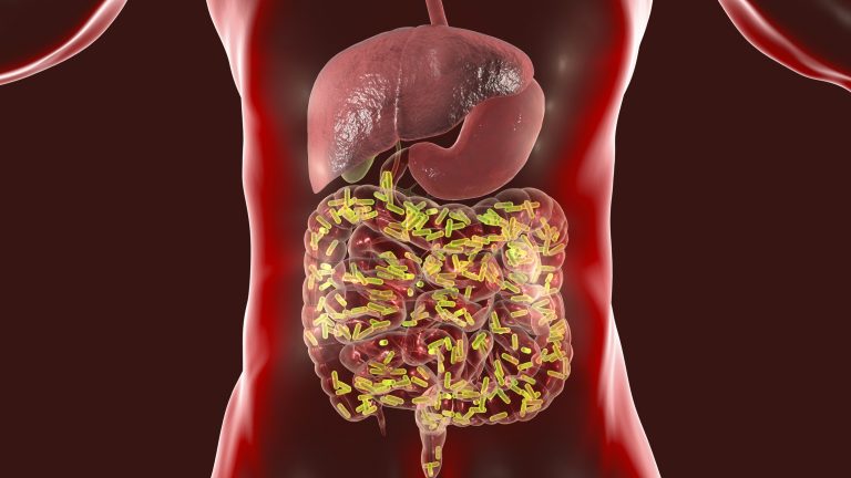 Microorganisms in Human Gut Contribute to Type 2 Diabetes